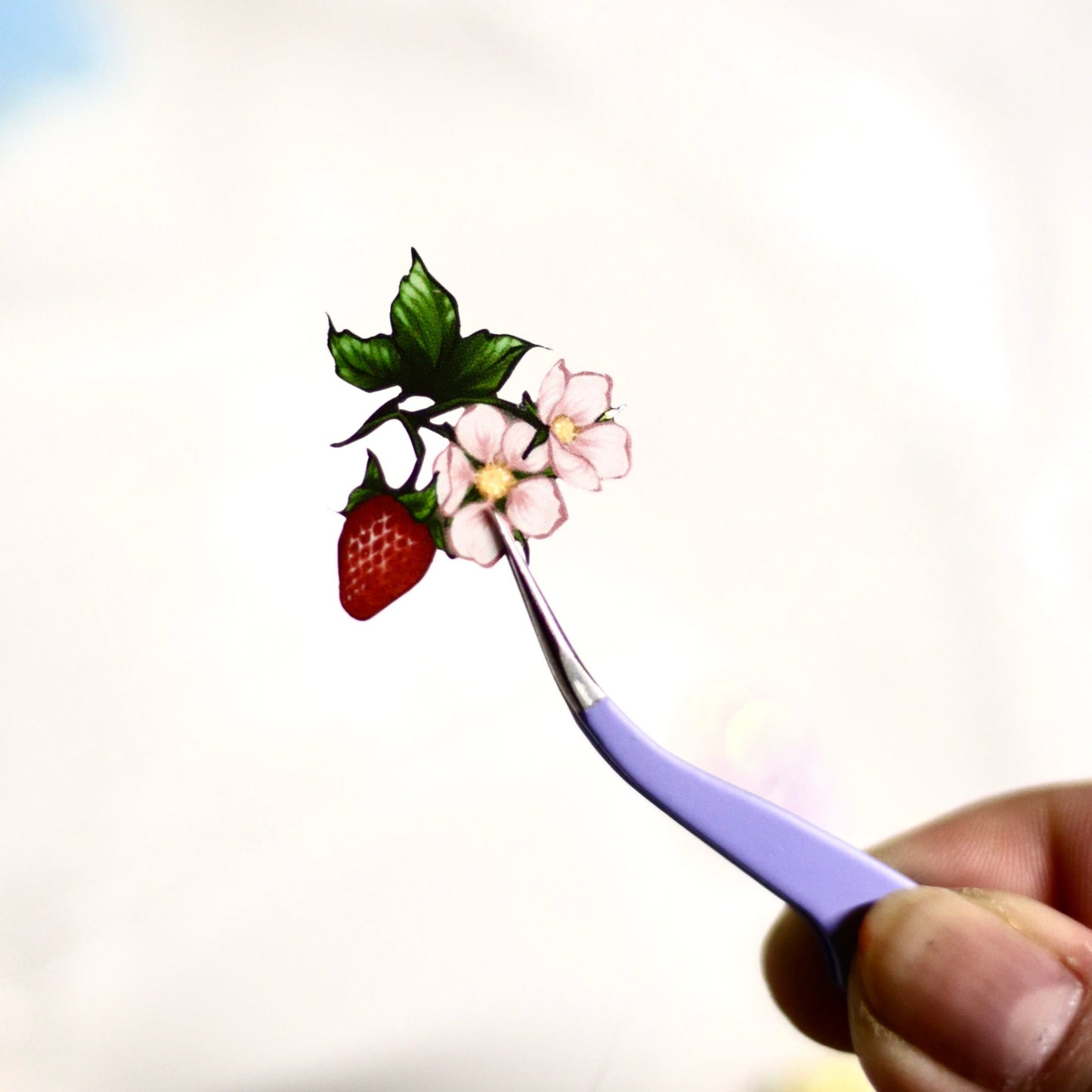 Strawberry Vinyl Deco Sticker Sheets
